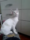 MARILYN