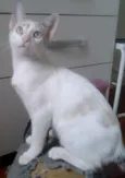 MARILYN