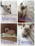 Não tem nome ainda