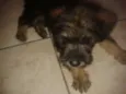 princesa