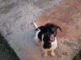 Kiara