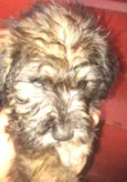 princesa