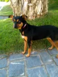 Pequena
