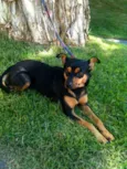 Pequena