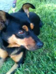 Pequena