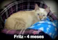 Fritz