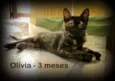 Olivia