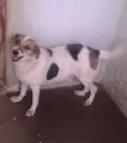 Esperança