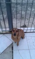 Fiona