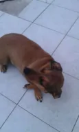 Fiona