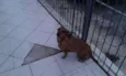 Fiona