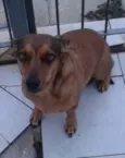 Fiona