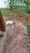 Mimi