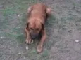 Tobby