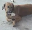 Tobby
