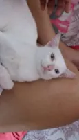 nao tem