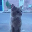 Tom