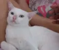 nao tem