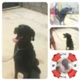 Tufão
