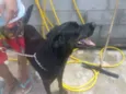 Tufão