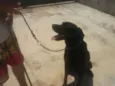 Tufão