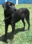Tufão