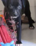 Barnabé