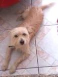 Bilu