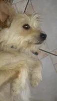 Bilu