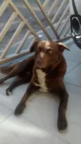BONO