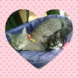 Kit e Gatinha