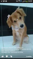 mel