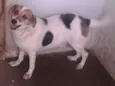 Esperança