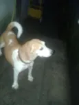 Bebê