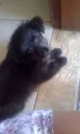 DERIK