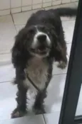 Tobias