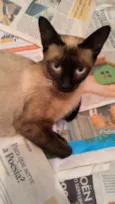 Pandora