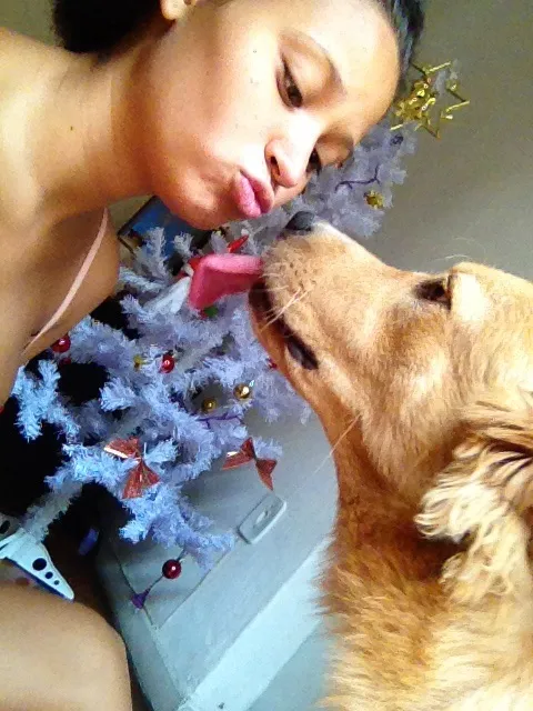 Cachorro ra a Mistura de pitbull com vira lata idade 7 a 11 meses nome Cristal