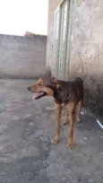 TOTÓ