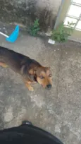 TOTÓ