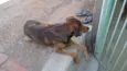 TOTÓ