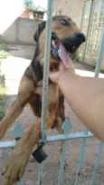 TOTÓ