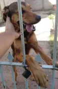 TOTÓ