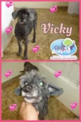 Vick