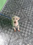Nick