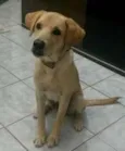 Bart