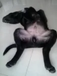 Tom