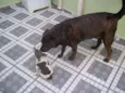 Tito