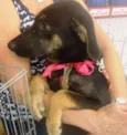 Lulu