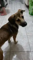 LInda